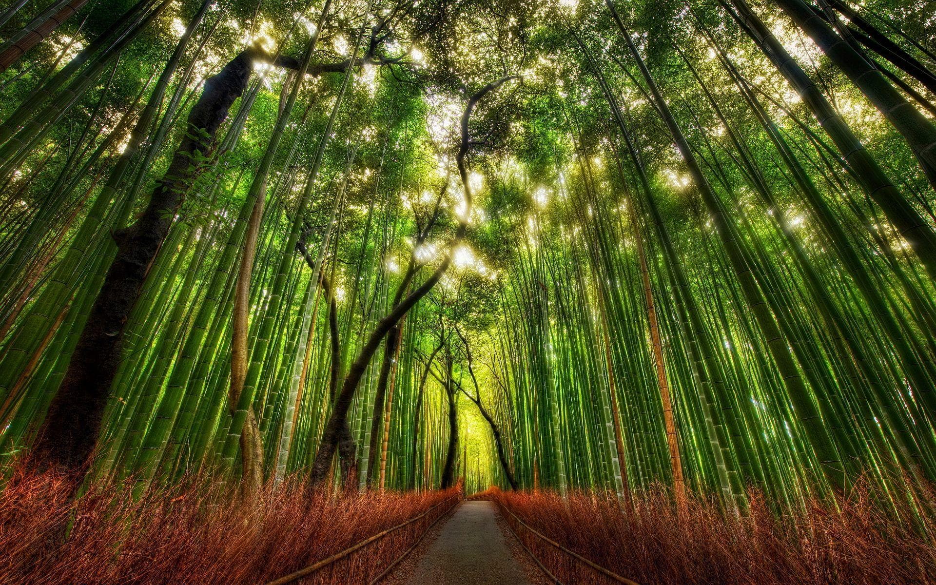Arashiyama